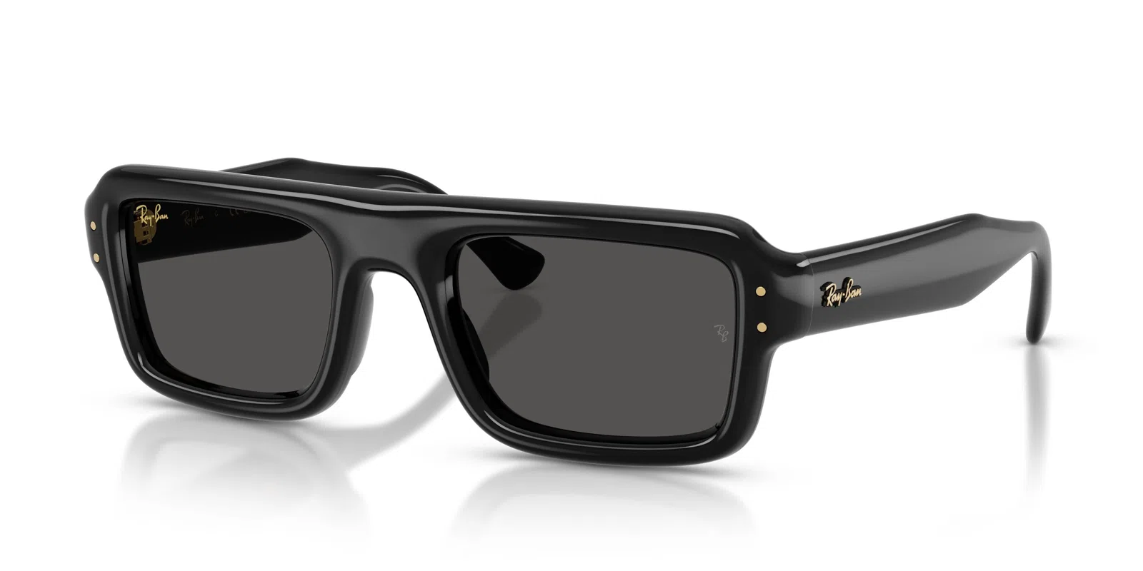 Ray-Ban 4954 Sunglasses - view 25